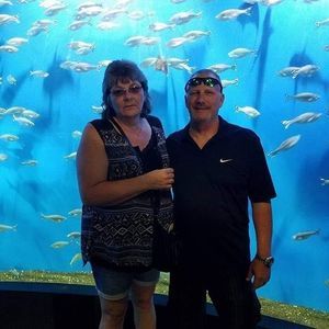 Meet your Posher, Brian